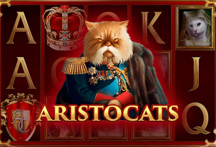 Roosterbetcasino's secure website offering top-rated casino entertainment.